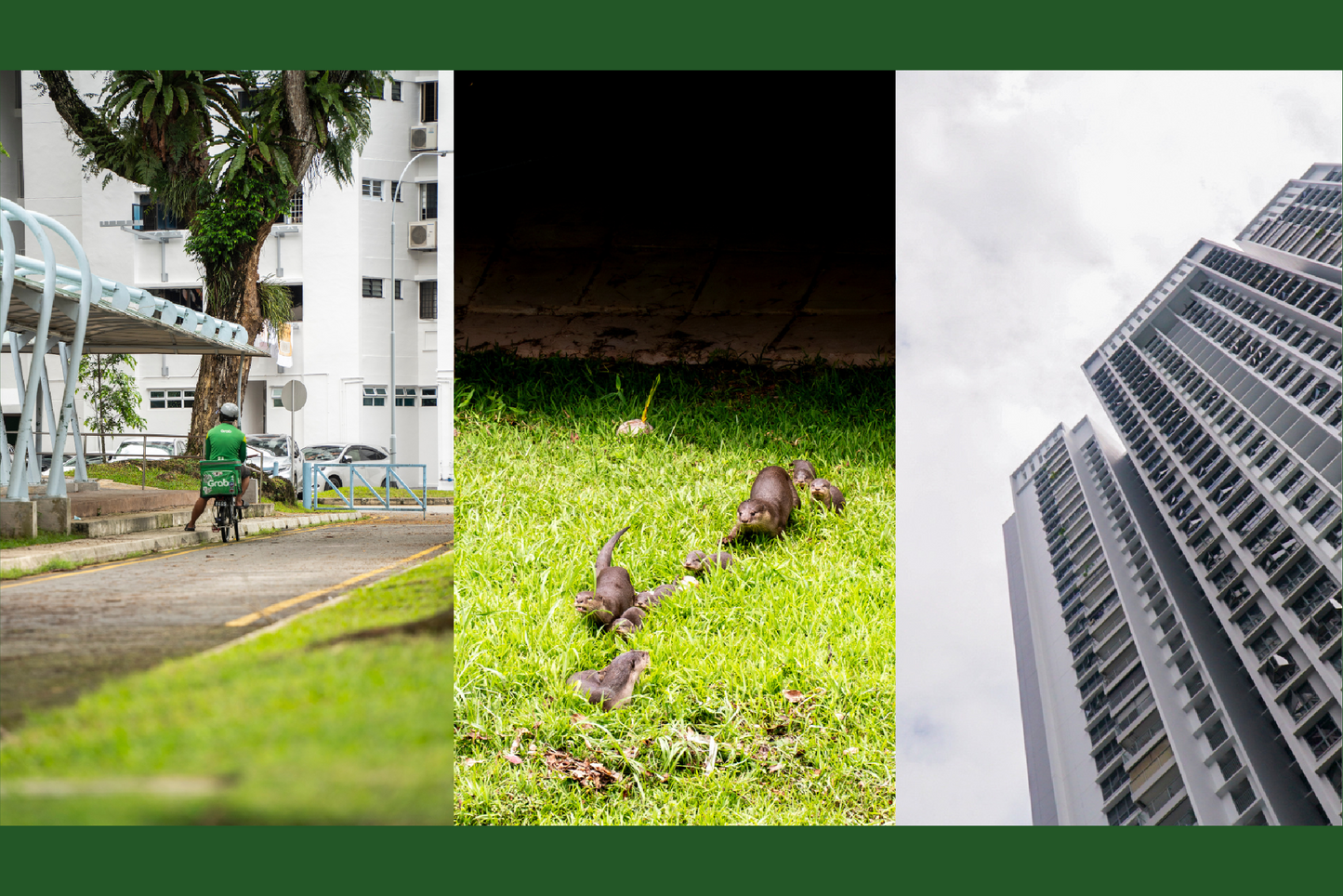 Sights and Secrets of Clementi: Photowalk